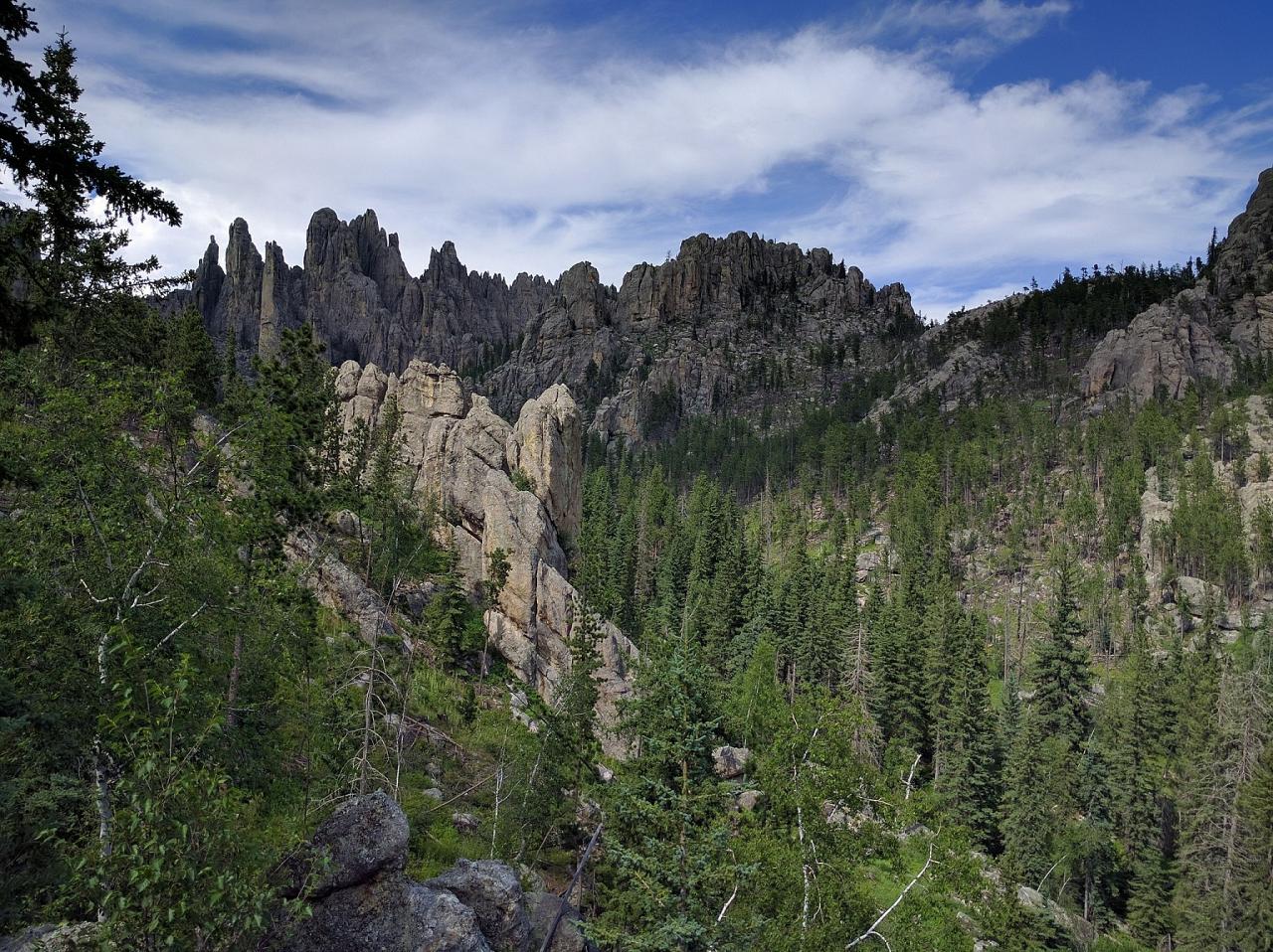 Black Hills Birding, Wildlife and Landscapes tour of South Dakota by Naturalist Journeys guided birding and nature tour of Black Hills