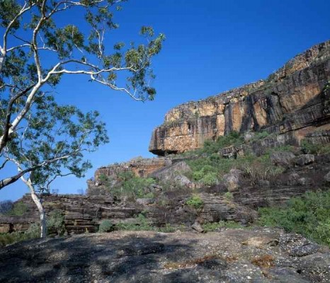 Kadaku National Park, Australia, Australia Nature Tour, Australia Birding Tour, Naturalist Journeys 