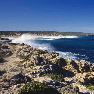 Coastline, Kangaroo Island, Australia, Australia Nature Tour, Australia Birding Tour, Naturalist Journeys 