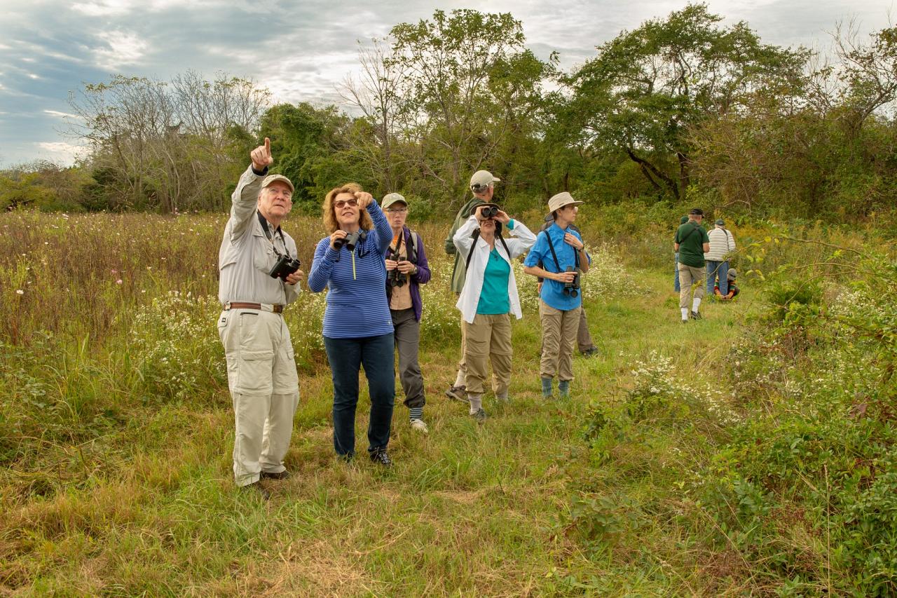 Birding Hidden Valley, Cape May, Cape May Migration, Fall Migration, Fall Migration Tour, Cape May Birding Tour, Naturalist Journeys