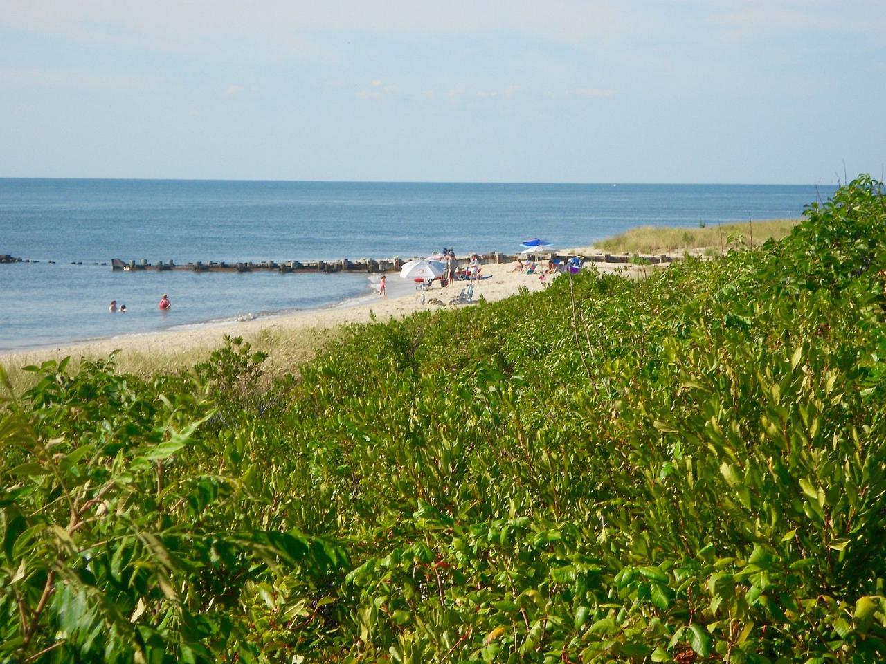 Cape May, Cape May Migration, Fall Migration, Fall Migration Tour, Cape May Birding Tour, Naturalist Journeys