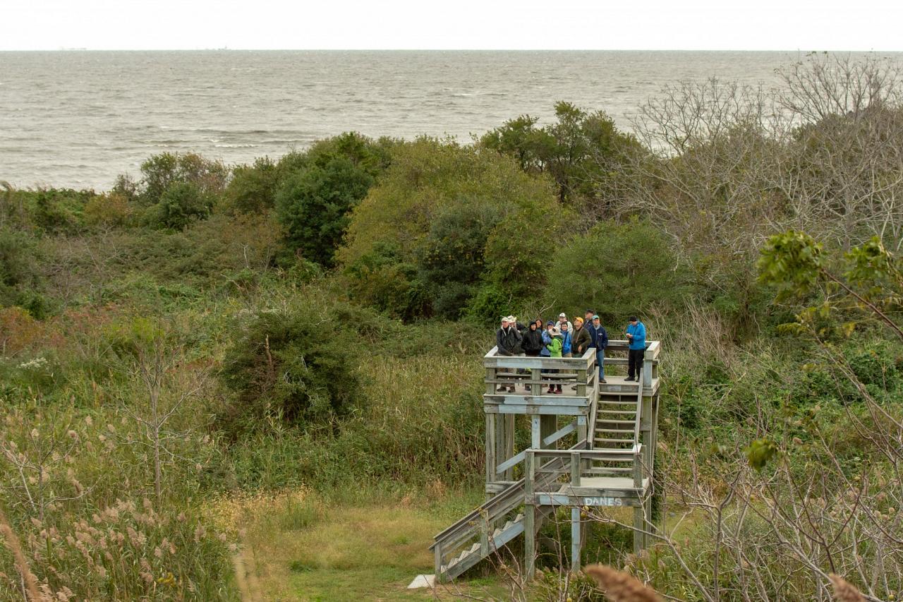 Cape May, Cape May Migration, Fall Migration, Fall Migration Tour, Cape May Birding Tour, Naturalist Journeys
