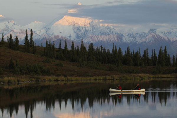 Denali National Park, Alaska, Alaska Wildlife Tour, Naturalist Journeys
