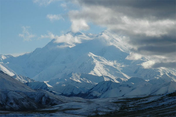 Denali National Park, Alaska, Alaska Wildlife Tour, Naturalist Journeys