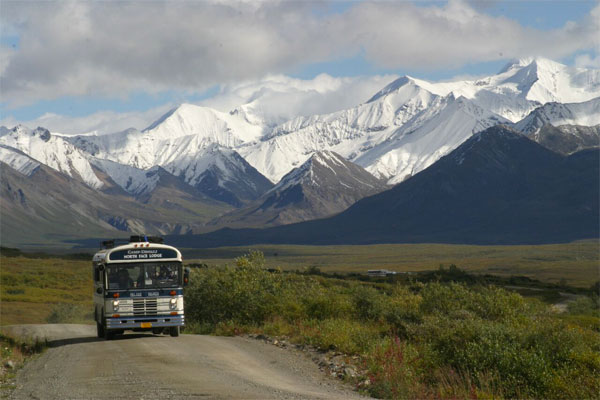 Denali National Park, Alaska, Alaska Wildlife Tour, Naturalist Journeys