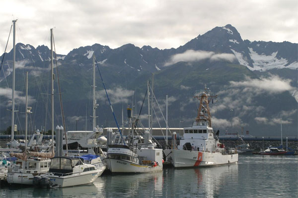 Seward, Alaska, Naturalist Journeys, Alaska Wildlife Tour