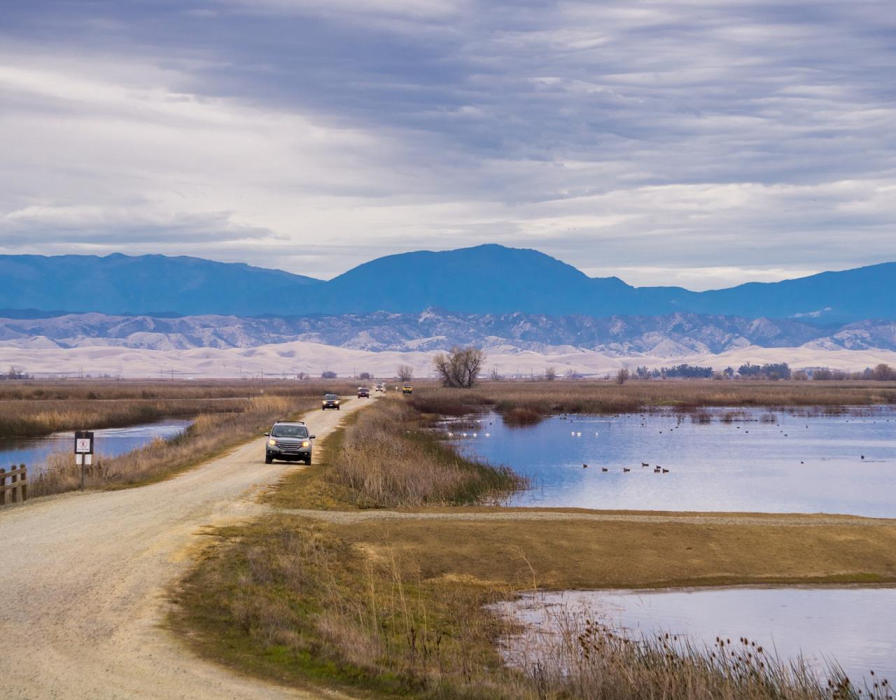 Birding California, Birding the United States, California Birds, Naturalist Journeys, Wildlife Tour, Wildlife Photography, Ecotourism, Specialty Birds, Endemic Birds, Birding Hotspot, Wine Country, California Central Valley