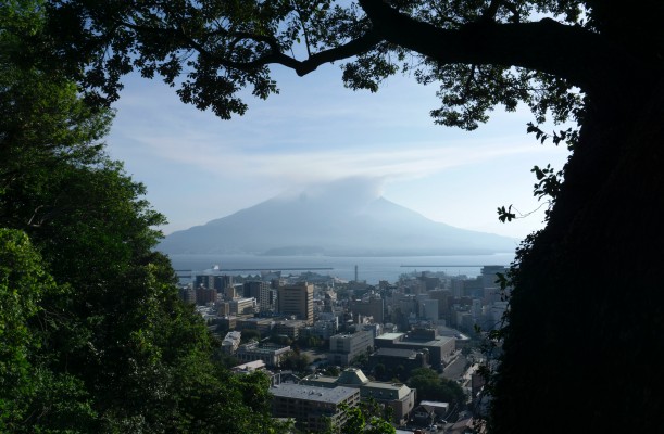 Sakura-jima Volcano from the Kagoshima Hills, Japan tour, Japanese nature tour, Japan birding, Japan Birding & nature, Naturalist Journeys