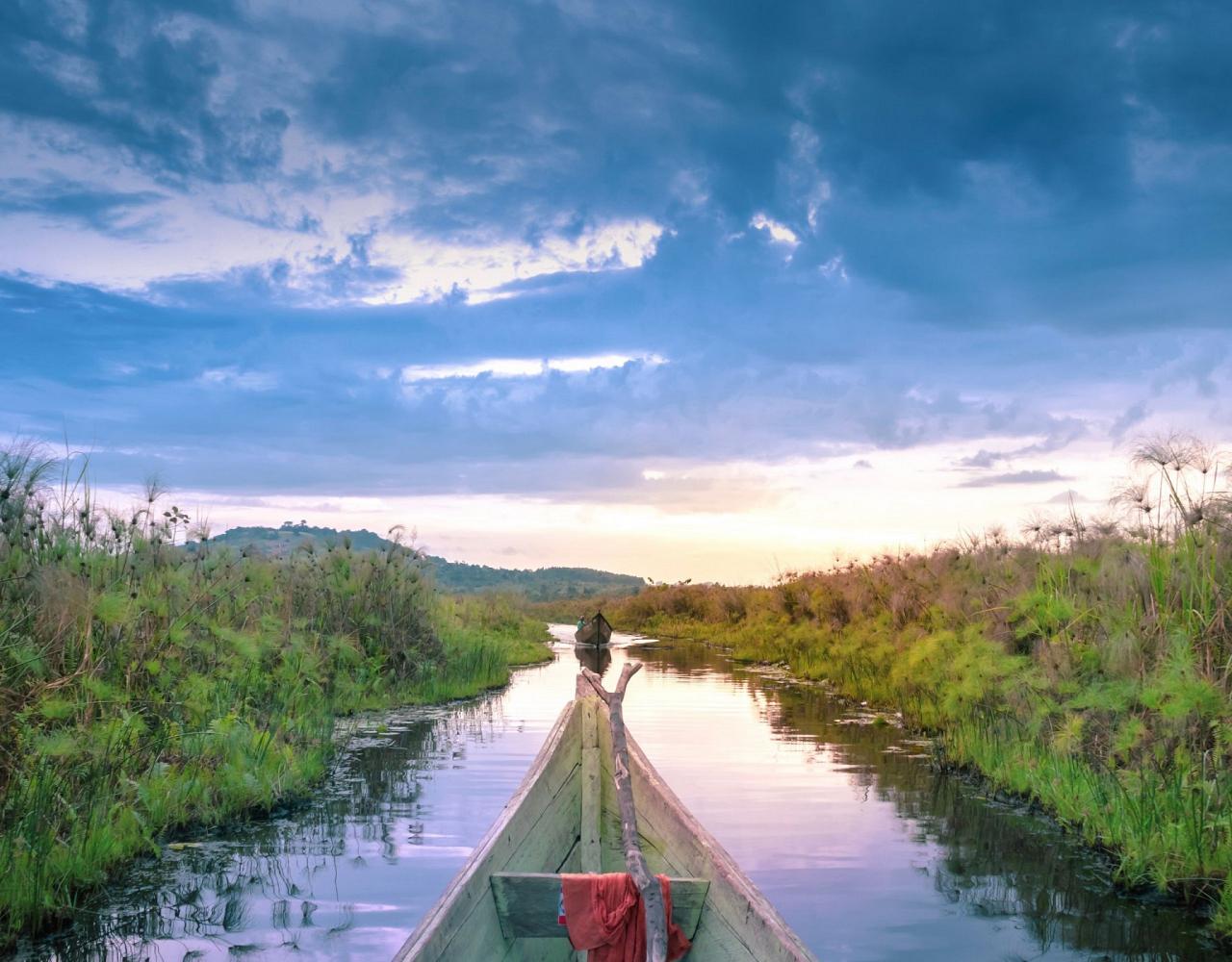 Mabamba Swamp, Birding Uganda, Bird Watching Uganda, Uganda, African Birds, Naturalist Journeys, Wildlife Tour, Wildlife Photography, Ecotourism, Specialty Birds, Endemic Birds, Birding Hotspot, Gorilla Trek, Queen Elizabeth National Park 