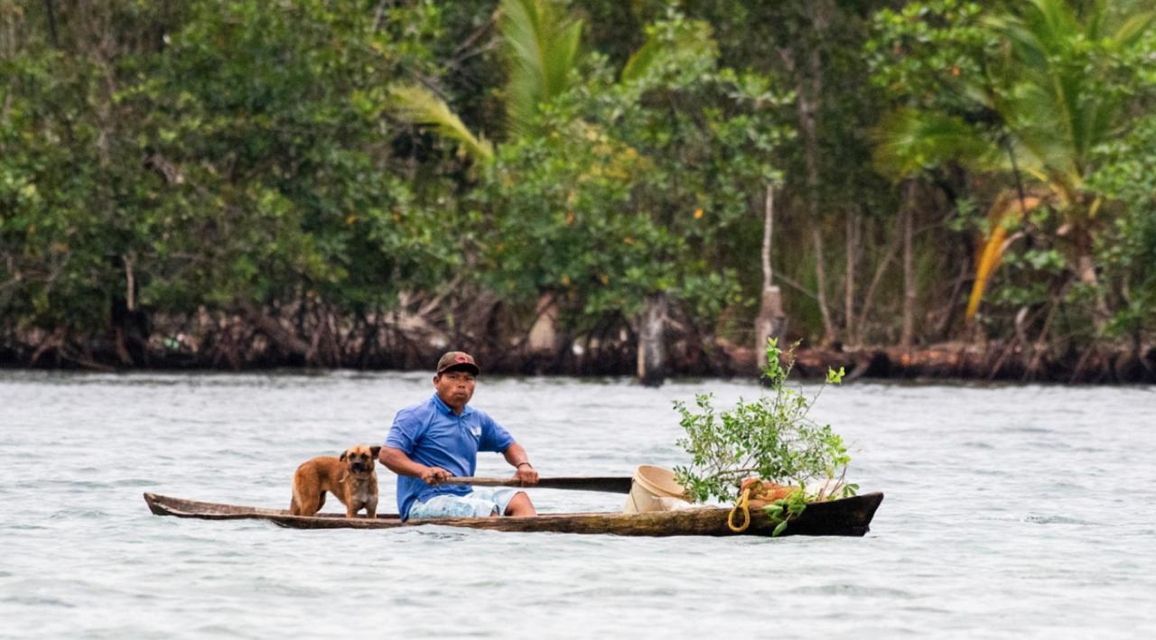 Canoe, Panama, Tranquilo Bay Birding, Panama Birding Tour, Panama Nature Tour, Naturalist Journeys