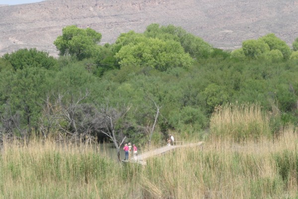 Rio Grande, Big Bend National Park, Texas, Naturalist Journeys, Big Bend Nature Tour, Big Bend Birding Tour