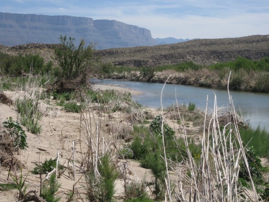 Rio Grande, Big Bend National Park, Texas, Naturalist Journeys, Big Bend Nature Tour, Big Bend Birding Tour