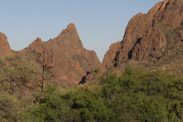 Big Bend National Park, Big Bend Nature Tour, Big Bend Birding Tour, Big Bend Natural History Tour, Naturalist Journeys