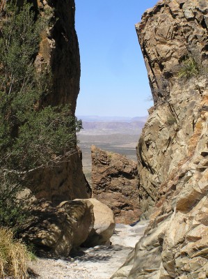 Window Trail, Big Bend National Park, Texas, Naturalist Journeys, Big Bend Nature Tour, Big Bend Birding Tour