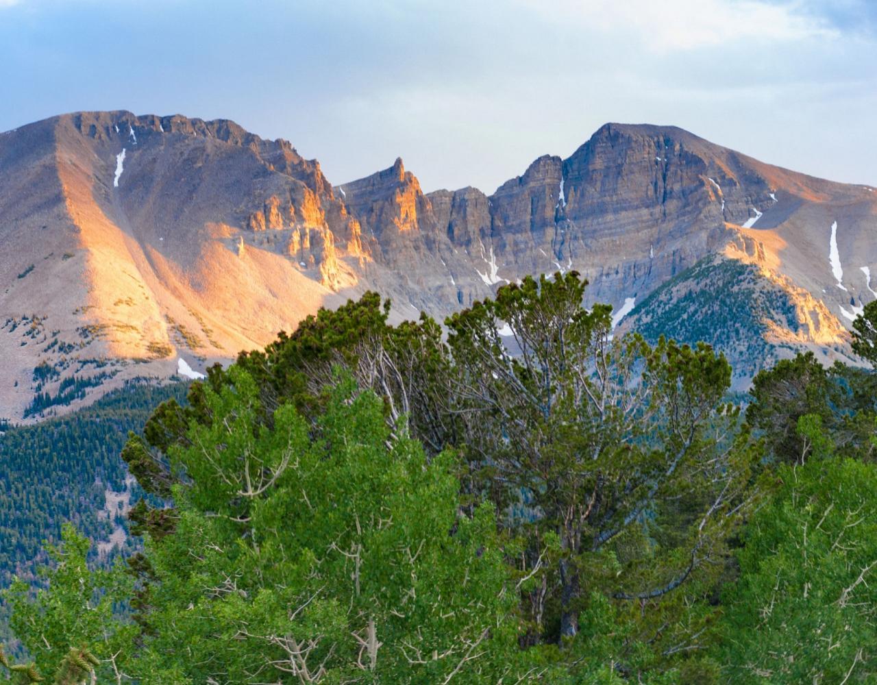 Great Basin National Park, Birding Nevada, Bird Watching Nevada, United States, North American Birds, Naturalist Journeys, Wildlife Tour, Wildlife Photography, Ecotourism, Specialty Birds