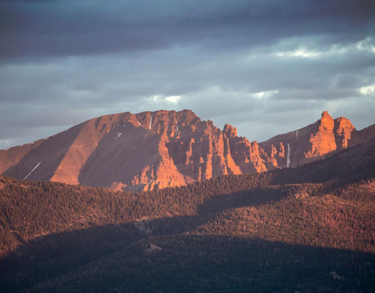 Great Basin National Park, Birding Nevada, Bird Watching Nevada, United States, North American Birds, Naturalist Journeys, Wildlife Tour, Wildlife Photography, Ecotourism, Specialty Birds