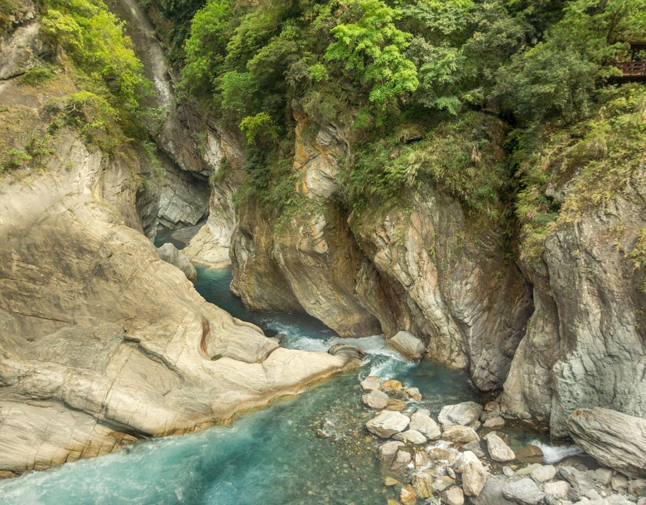 Taiwan Birding, Taiwan, Birds of Asia, Naturalist Journeys, Wildlife Tour, Wildlife Photography, Ecotourism, Specialty Birds, Endemic Birds, Birding Hotspot