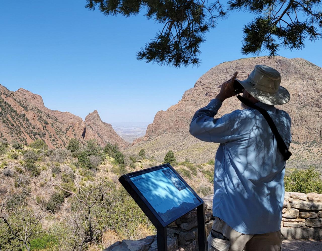 Big Bend National Park, Birding Big Bend, Bird Watching, United States, North American Birds, Naturalist Journeys, Wildlife Tour, Wildlife Photography, Ecotourism, Specialty Birds, Endemic Birds, Birding Hotspot