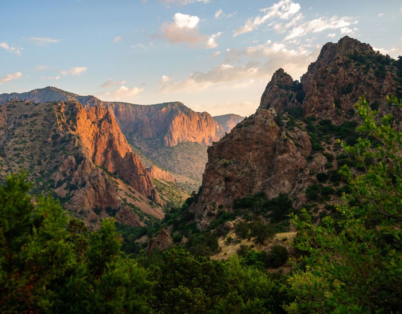 Big Bend National Park, Birding Big Bend, Bird Watching, United States, North American Birds, Naturalist Journeys, Wildlife Tour, Wildlife Photography, Ecotourism, Specialty Birds, Endemic Birds, Birding Hotspot