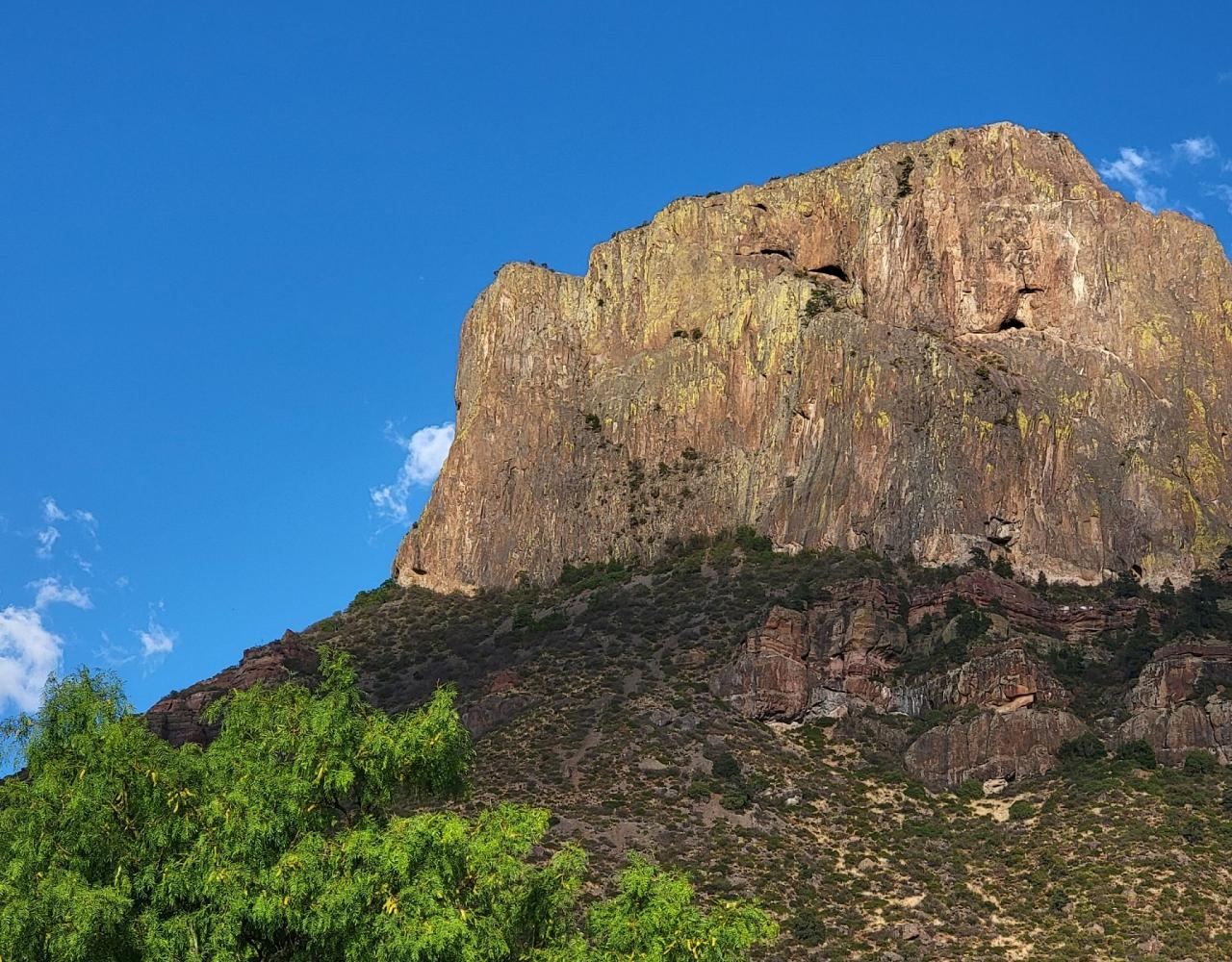 Big Bend National Park, Birding Big Bend, Bird Watching, United States, North American Birds, Naturalist Journeys, Wildlife Tour, Wildlife Photography, Ecotourism, Specialty Birds, Endemic Birds, Birding Hotspot