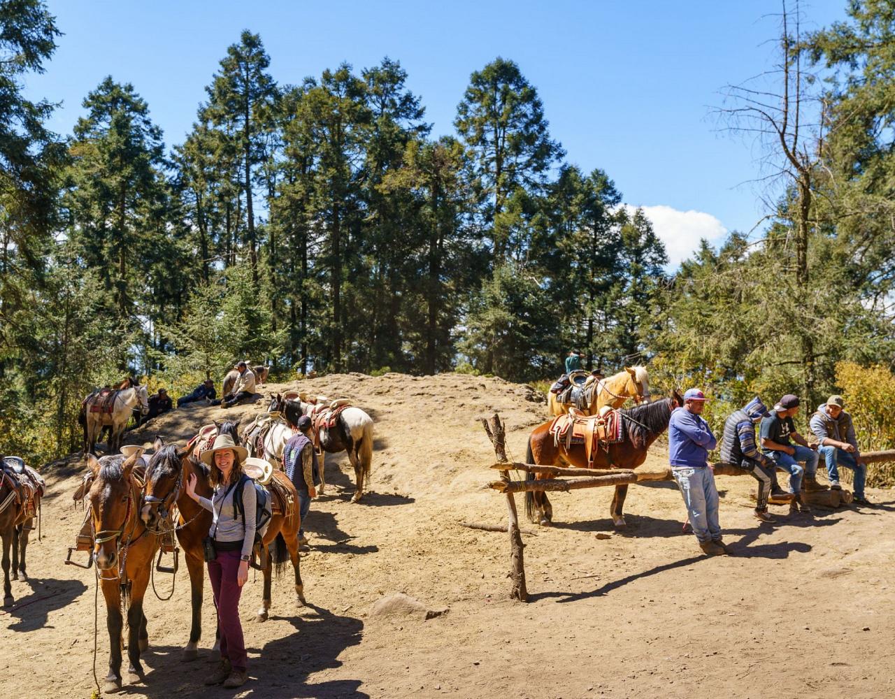 Birding Mexico, Bird Watching Mexico, Naturalist Journeys, Wildlife Tour, Wildlife Photography, Ecotourism, Specialty Birds, Endemic Birds, Birding Hotspot, Monarch Migration, Butterflies