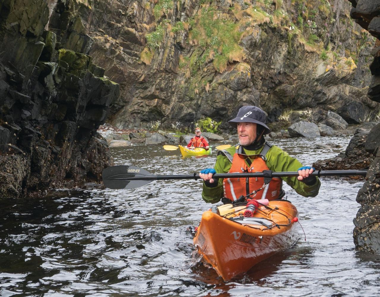 Birding Scotland, Bird Watching Scotland, United Kingdom, Scottish Isles, Naturalist Journeys, Wildlife Tour, Wildlife Photography, Ecotourism, Specialty Birds, Endemic Birds, Birding Hotspot, Cruise, Puffin