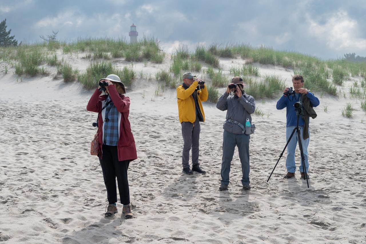 Cape May Spring Migration, Spring Migration Birding and Nature Tour from Naturalist Journeys, Cape May New Jersey Birding