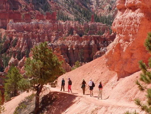 Bryce Canyon, Hiking Bryce Canyon, Utah, Southwest Birding Tour, Utah Birding Tour, Arizona Birding Tour, National Park Birding Tour, Naturalist Journeys