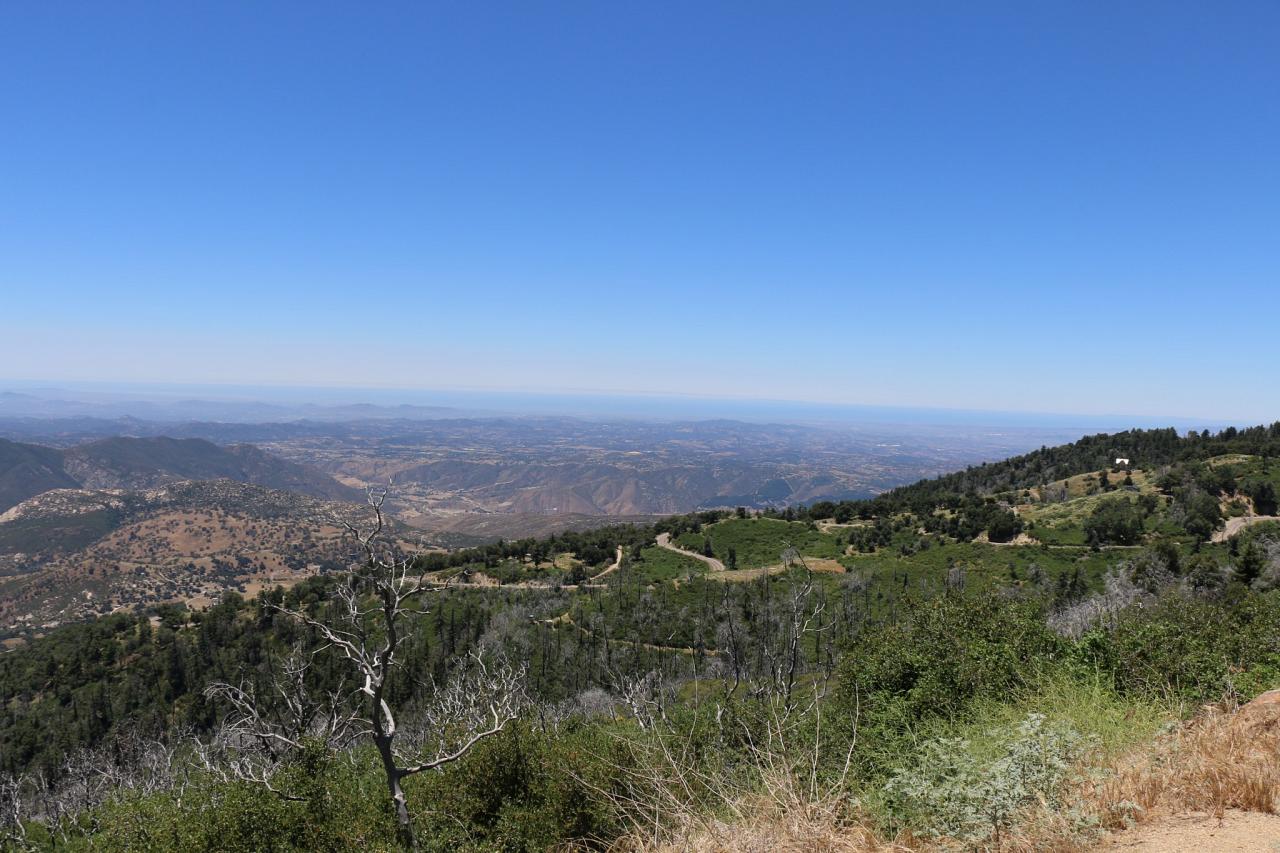 Southern California Birding and Nature Tour in San Diego County, Naturalist Journeys, Anza Borrego State Desert Park, Palomar Mountain State Park, San Elijo Lagoon Ecological Reserve, Torrey Pines State Park, Coast to Cactus Birding and Nature tour