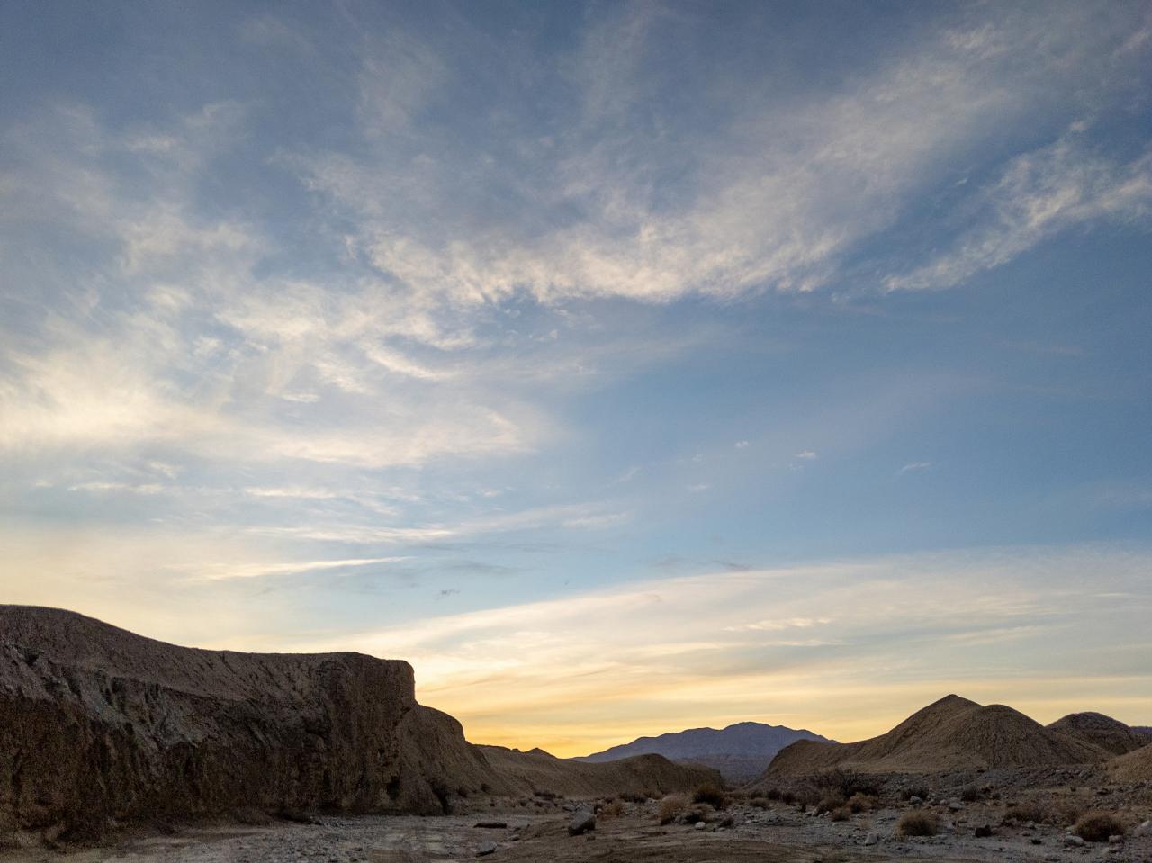 Southern California Birding and Nature Tour in San Diego County, Naturalist Journeys, Anza Borrego State Desert Park, Palomar Mountain State Park, San Elijo Lagoon Ecological Reserve, Torrey Pines State Park, Coast to Cactus Birding and Nature tour