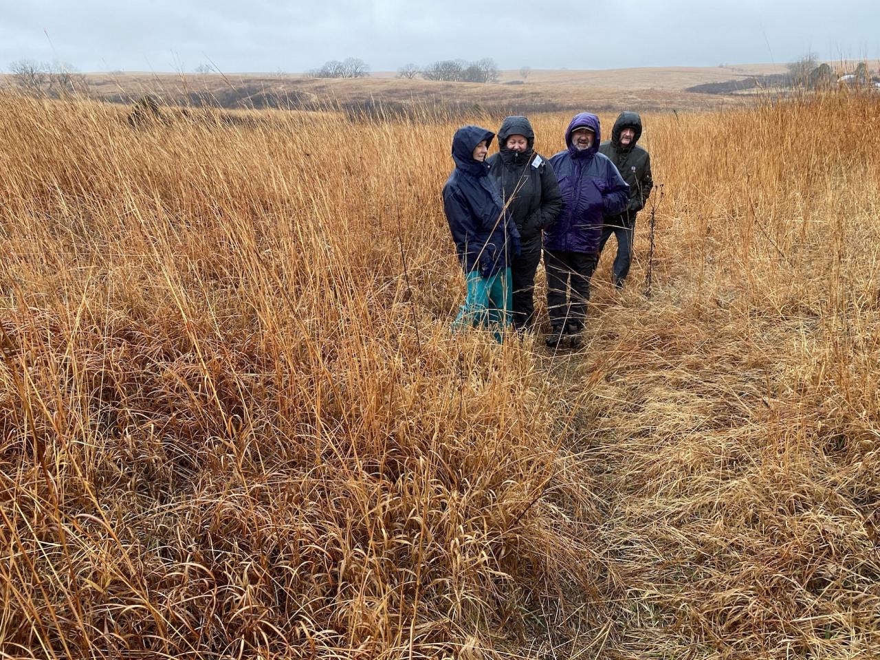 Tall grass Prairie, Nebraska, Platte River, Platte River Nature Tour, Sandhill Crane Nature Tour, Platte River Birding Tour, Naturalist Journeys