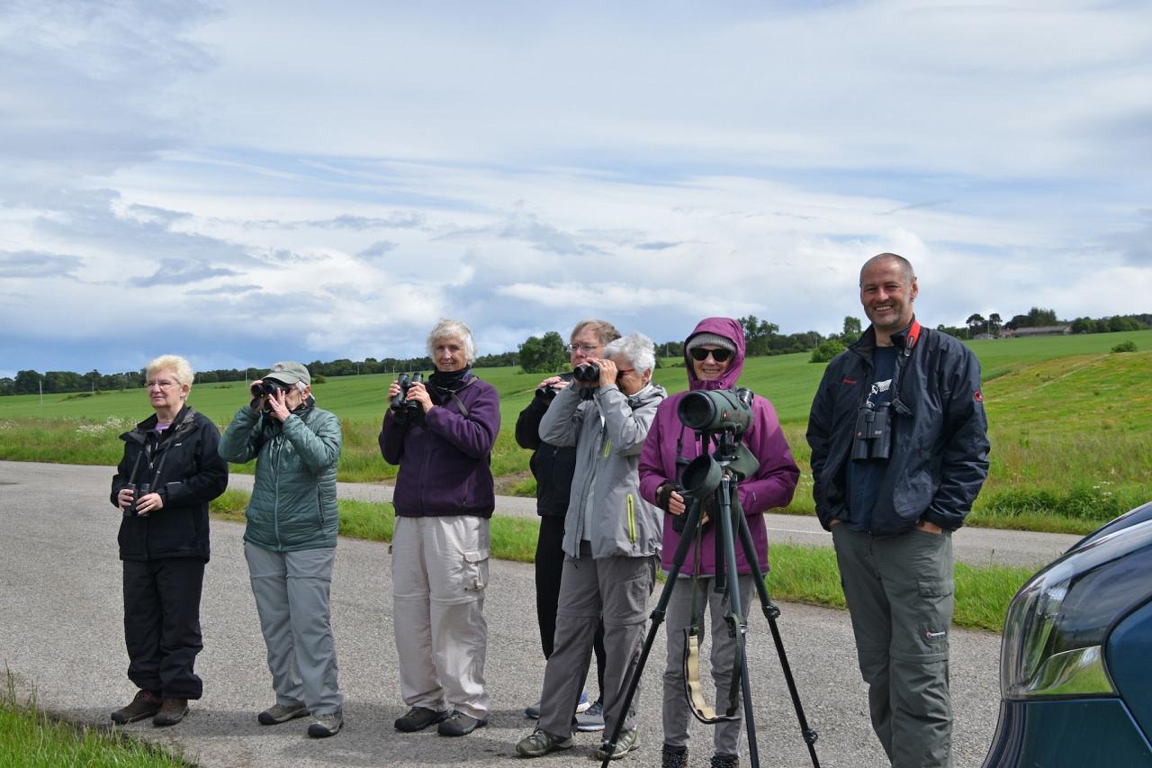 Birding Group, Scotland, Scottish Highlands, Scottish Islands, Scotland Birding Tour, Scotland Nature Tour, Naturalist Journeys