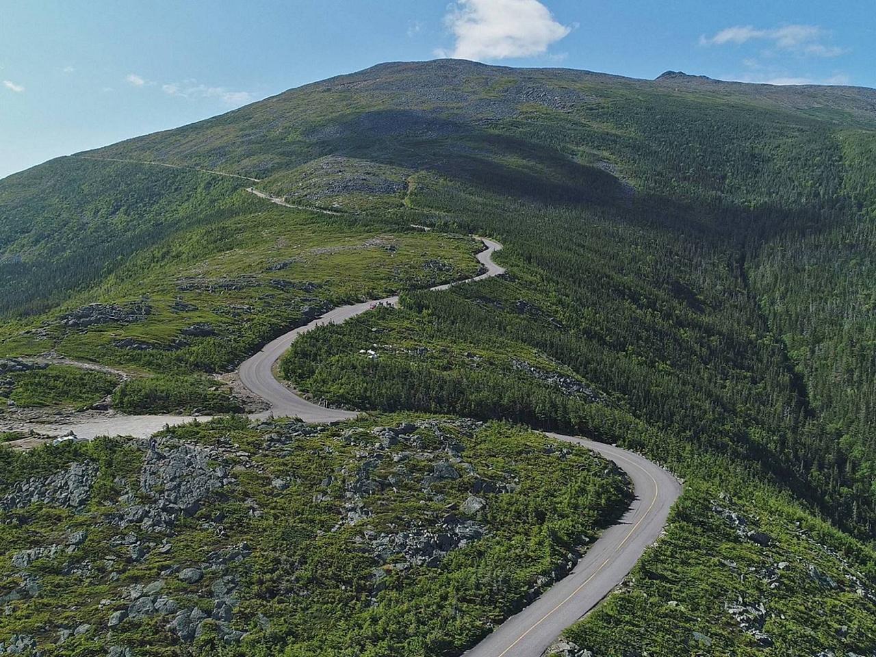 New Hampshire, New Hampshire Nature Tour, New Hampshire Birding Tour, White Mountains, White Mountains Nature Tour, White Mountains Birding Tour, Mt. Washington, Naturalist Journeys