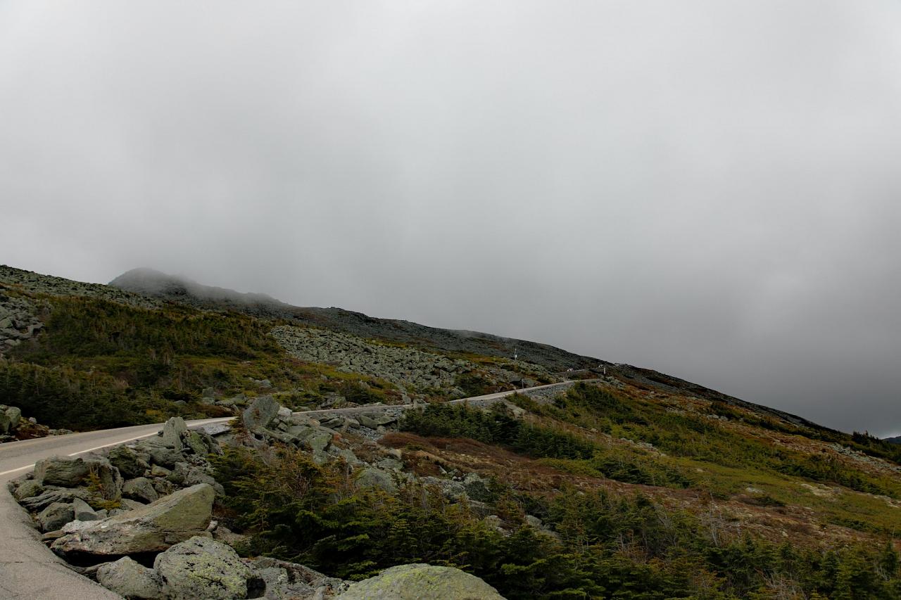 New Hampshire, New Hampshire Nature Tour, New Hampshire Birding Tour, White Mountains, White Mountains Nature Tour, White Mountains Birding Tour, Mt. Washington, Naturalist Journeys