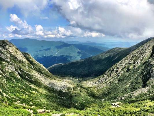 New Hampshire, New Hampshire Nature Tour, New Hampshire Birding Tour, White Mountains, White Mountains Nature Tour, White Mountains Birding Tour, Mt. Washington, Naturalist Journeys