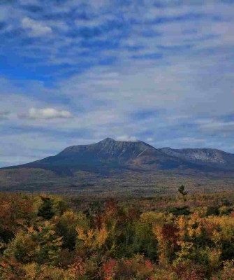 Birding Maine, Bird watching Maine, USA, North America, Acadia National Park, Bar Harbor, Naturalist Journeys, Wildlife Tour, Wildlife Photography, Ecotourism, Specialty Birds, Endemic Birds, Birding Hotspot