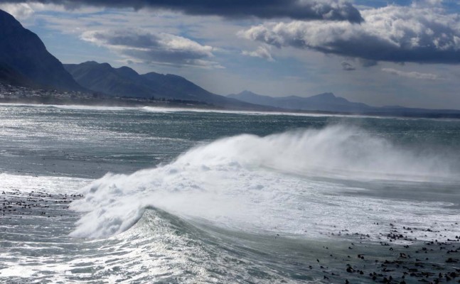 Cape Town, South Africa, South Africa Wildlife Tour, South Africa Birding Tour, South Africa Safari, Naturalist Journeys