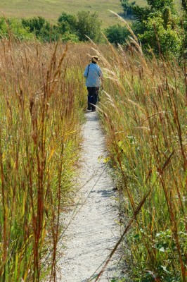 Kansas, Tallgrass Prairie, Kansas Nature Tour, Tallgrass Prairie Tour, Naturalist Journeys