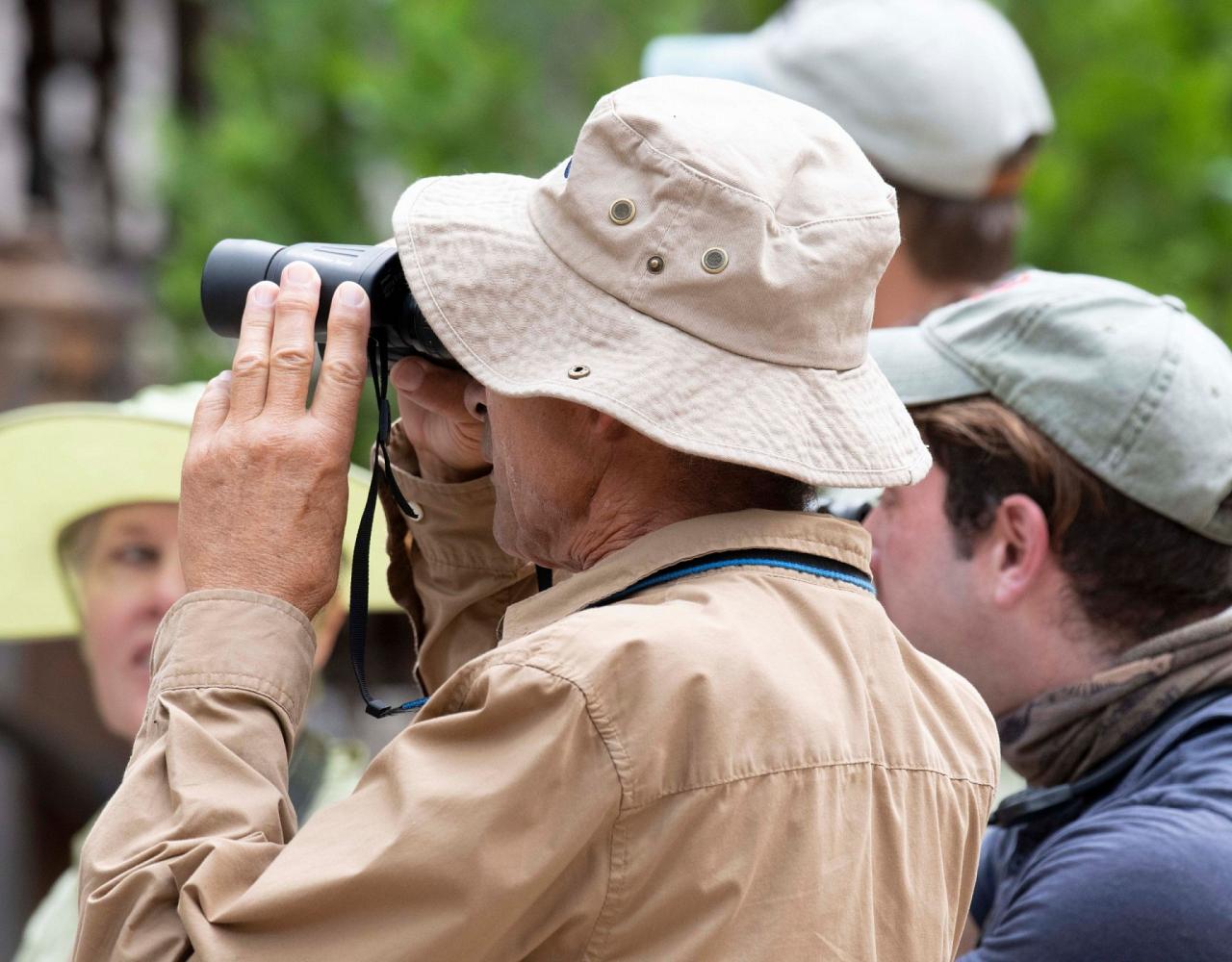 Arizona Birding, Arizona Bird Watching, United States, North American Birds, Naturalist Journeys, Wildlife Tour, Wildlife Photography, Ecotourism, Specialty Birds, Endemic Birds, Birding Hotspot, Sonoran Desert, Tucson