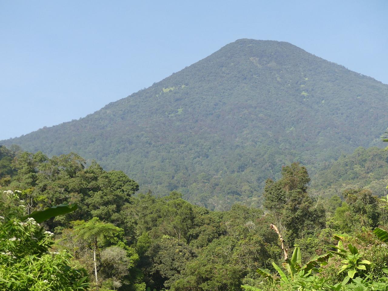 Indonesia, Indonesia Birding Tour, Indonesia Nature Tour, Bali Birding Tour, Bali Nature Tour, Sumatra Birding Tour, Sumatra Nature Tour, Naturalist Journeys