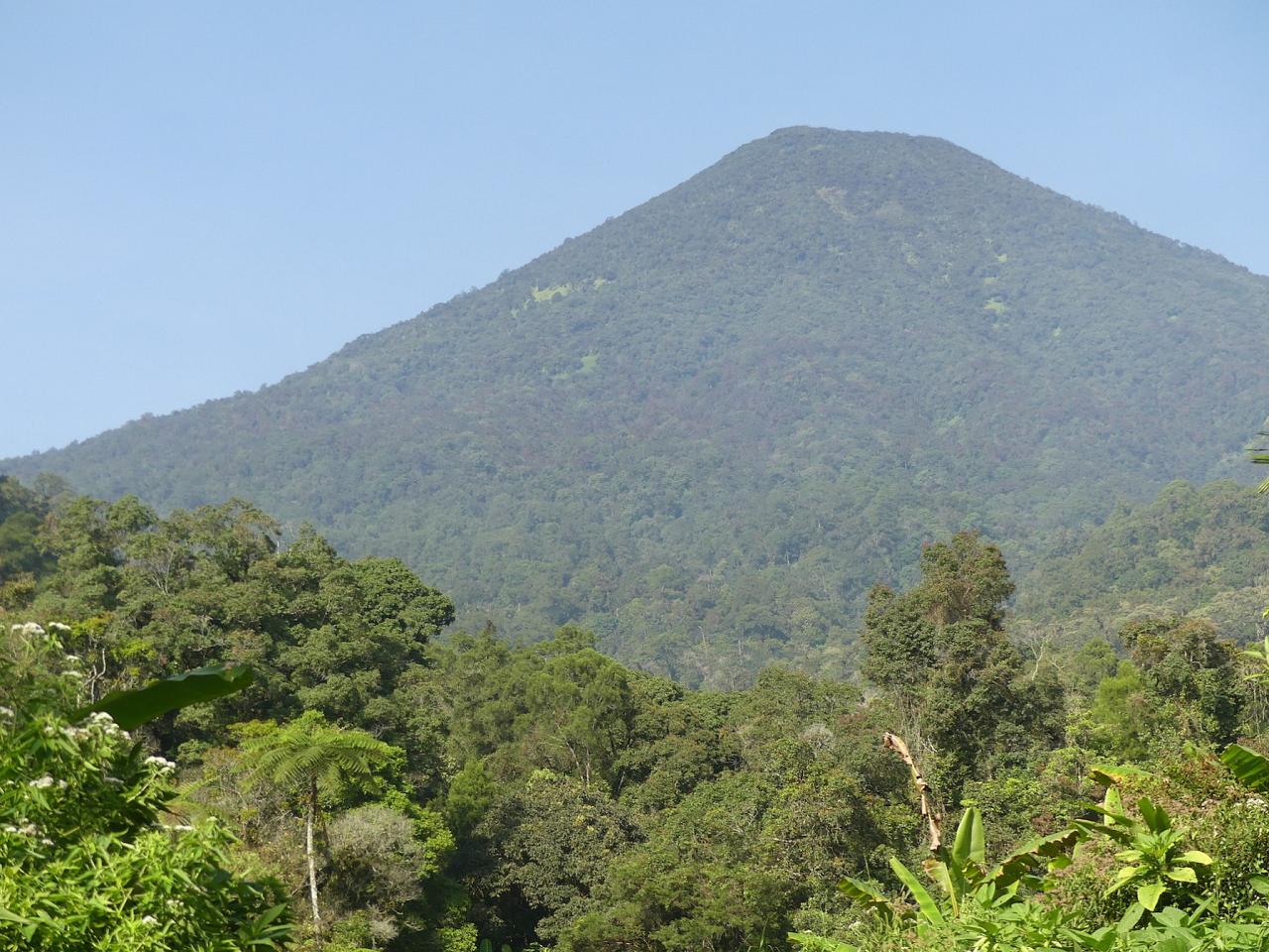 Indonesia, Indonesia Birding Tour, Indonesia Nature Tour, Bali Birding Tour, Bali Nature Tour, Sumatra Birding Tour, Sumatra Nature Tour, Naturalist Journeys