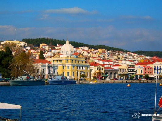 Mytilene, Greece, Greece Birding Tour, Greece Nature Tour, Spring Migration Tour, Naturalist Journeys