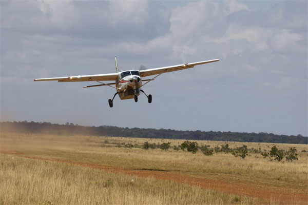 Karanambu, Guyana, Guyana Nature Tour, Guyana Birding Tour, Guyana Wildlife Tour; Naturalist Journeys