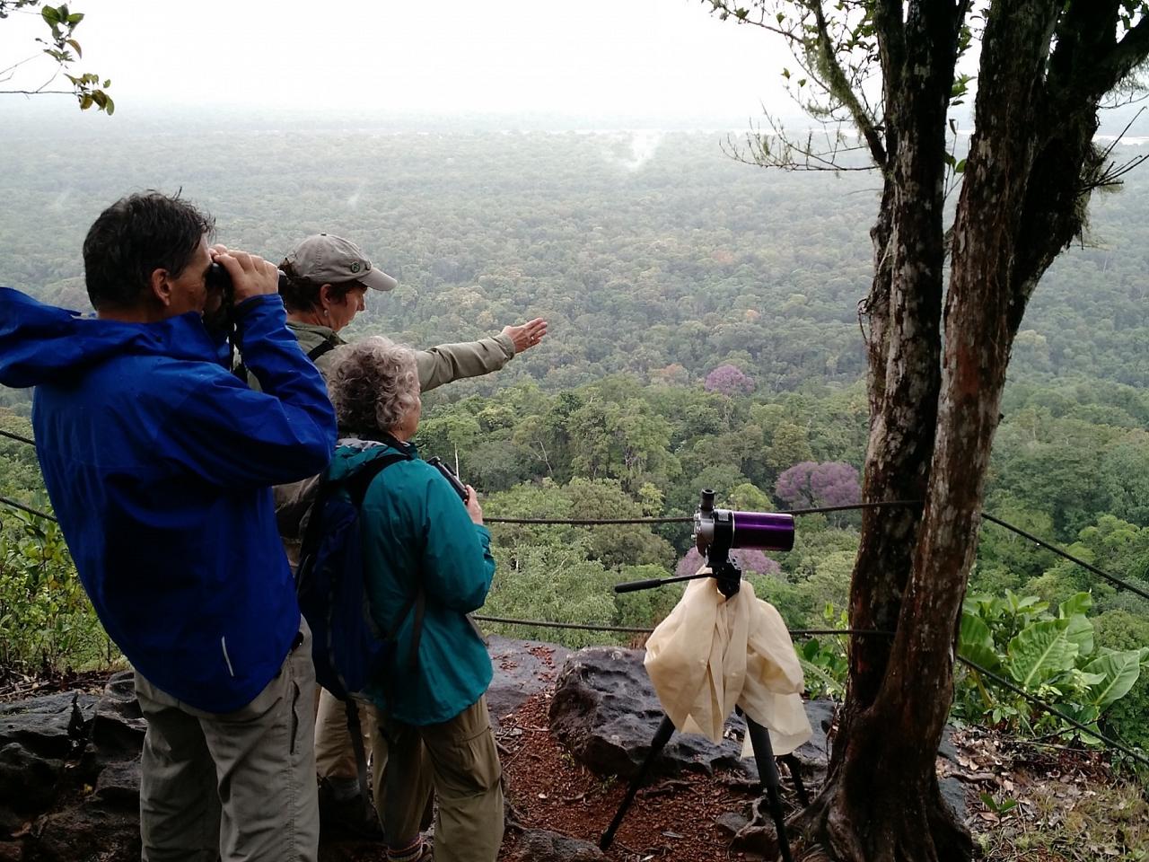 Birding Guyana, Guyana, Guyana Nature Tour, Guyana Birding Tour, Guyana Wildlife Tour; Naturalist Journeys