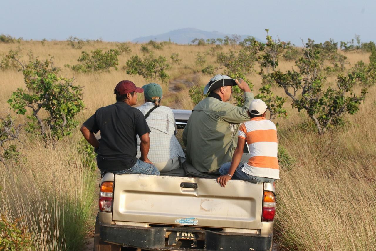 Karanambu, Guyana, Guyana Nature Tour, Guyana Birding Tour, Guyana Wildlife Tour; Naturalist Journeys