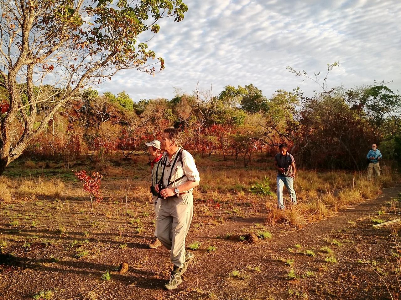 Birding Guyana, Guyana, Guyana Nature Tour, Guyana Birding Tour, Guyana Wildlife Tour; Naturalist Journeys