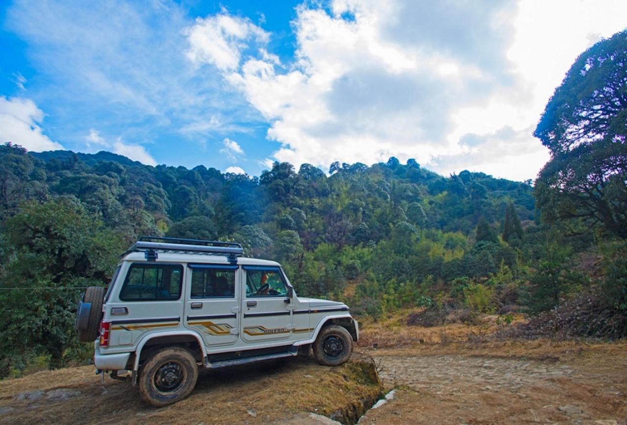 Jeep, India Nature Tour, India Wildlife Tour, India Wildlife Safari, Naturalist Journeys
