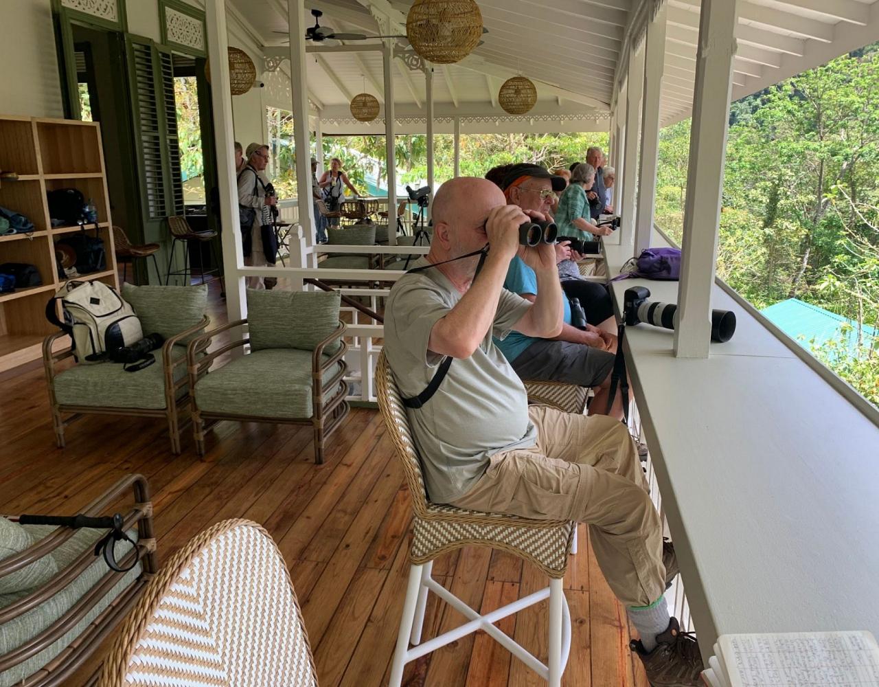 Birding Trinidad, Bird watching Trinidad, South American birds, Naturalist Journeys, Wildlife Tour, Wildlife Photography, Ecotourism, Specialty Birds, Endemic Birds, Birding Hotspot, Asa Wright Nature Center