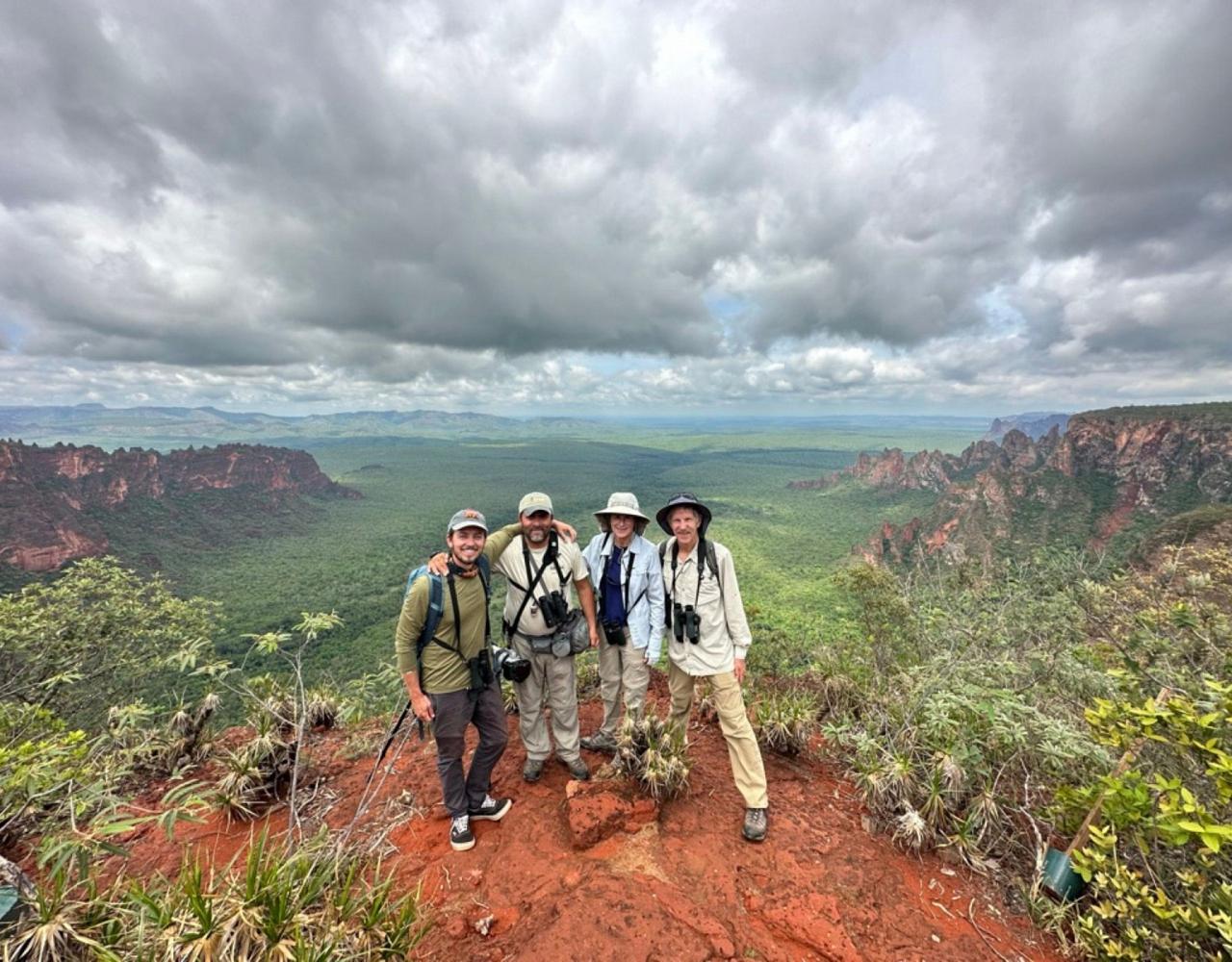 Birding Brazil, Bird watching Brazil, Brazil, South American Birds, Naturalist Journeys, Wildlife Tour, Wildlife Photography, Ecotourism, Specialty Birds, Endemic Birds, Birding Hotspot, Jaguar, Pantanal