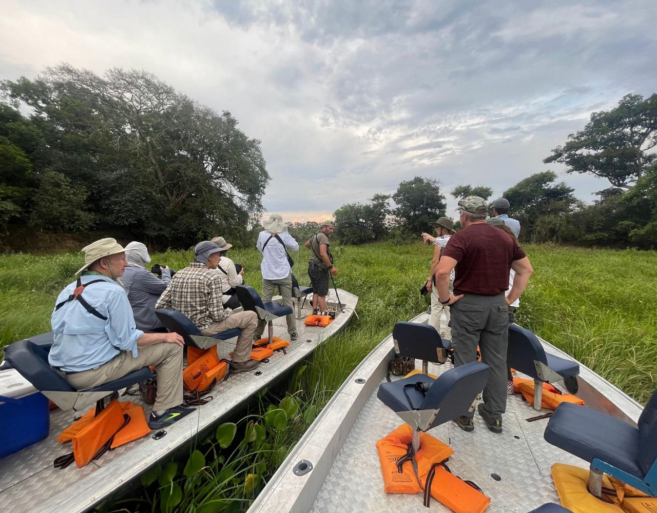 Birding Brazil, Bird watching Brazil, Brazil, South American Birds, Naturalist Journeys, Wildlife Tour, Wildlife Photography, Ecotourism, Specialty Birds, Endemic Birds, Birding Hotspot, Jaguar, Pantanal